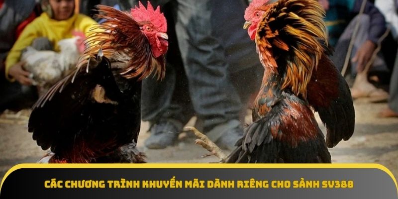 Cơ hội vàng với ưu đãi đặc biệt từ sảnh cược Sv388
