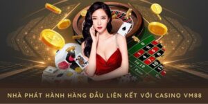 Những mối hợp tác chất lượng của VM88